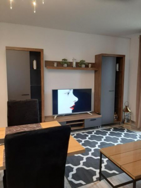 Kameralny Apartament z Balkonem
